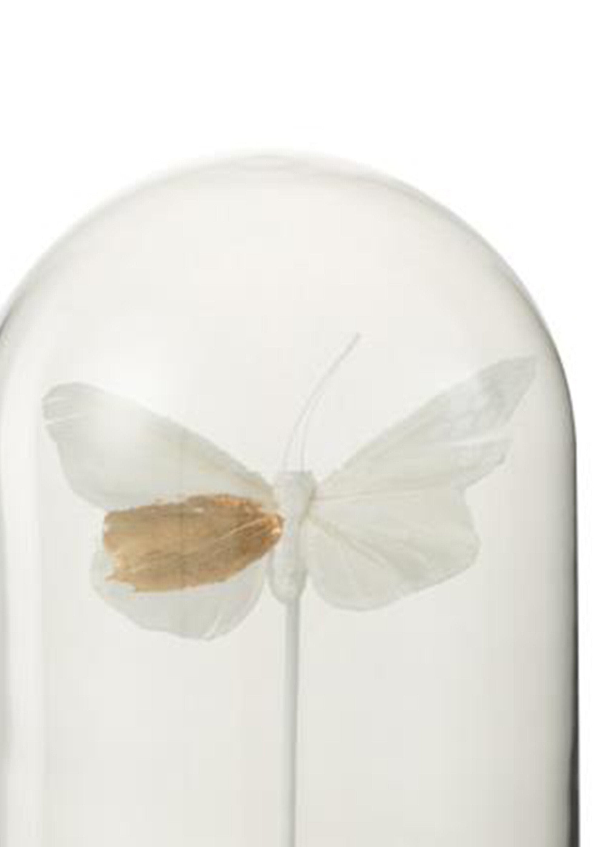 Decorative_glass_butterfly_bell_White_DE1_slim